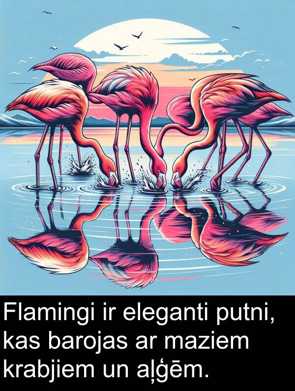 krabjiem: Flamingi ir eleganti putni, kas barojas ar maziem krabjiem un aļģēm.
