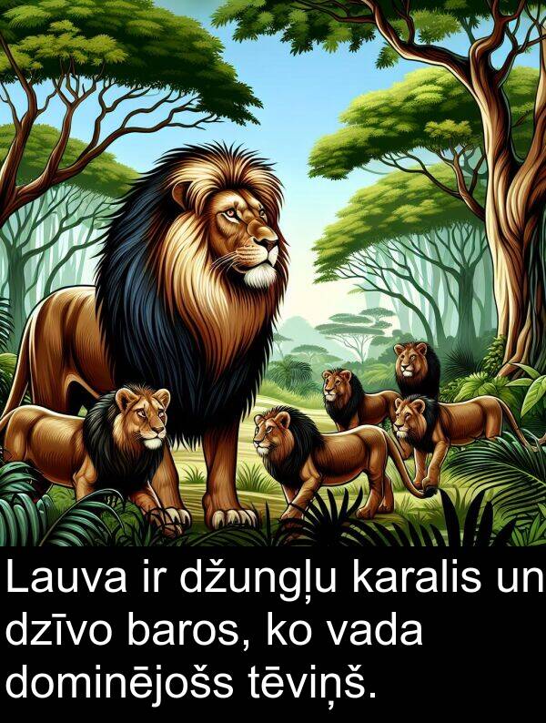 vada: Lauva ir džungļu karalis un dzīvo baros, ko vada dominējošs tēviņš.