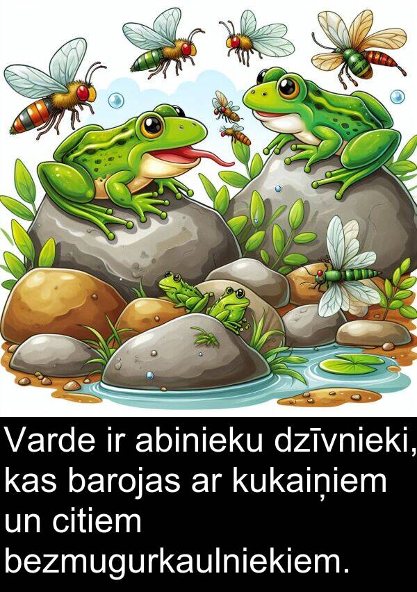 kukaiņiem: Varde ir abinieku dzīvnieki, kas barojas ar kukaiņiem un citiem bezmugurkaulniekiem.