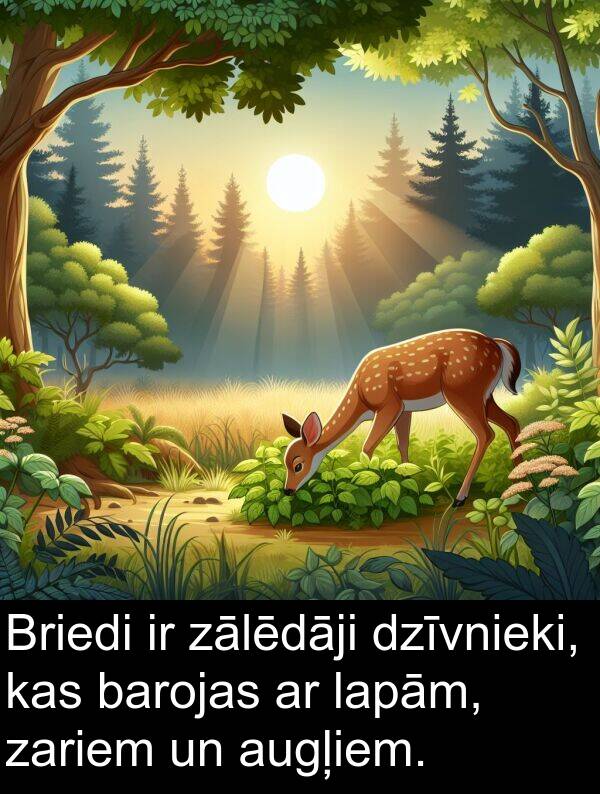 lapām: Briedi ir zālēdāji dzīvnieki, kas barojas ar lapām, zariem un augļiem.