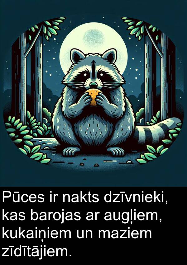 kukaiņiem: Pūces ir nakts dzīvnieki, kas barojas ar augļiem, kukaiņiem un maziem zīdītājiem.