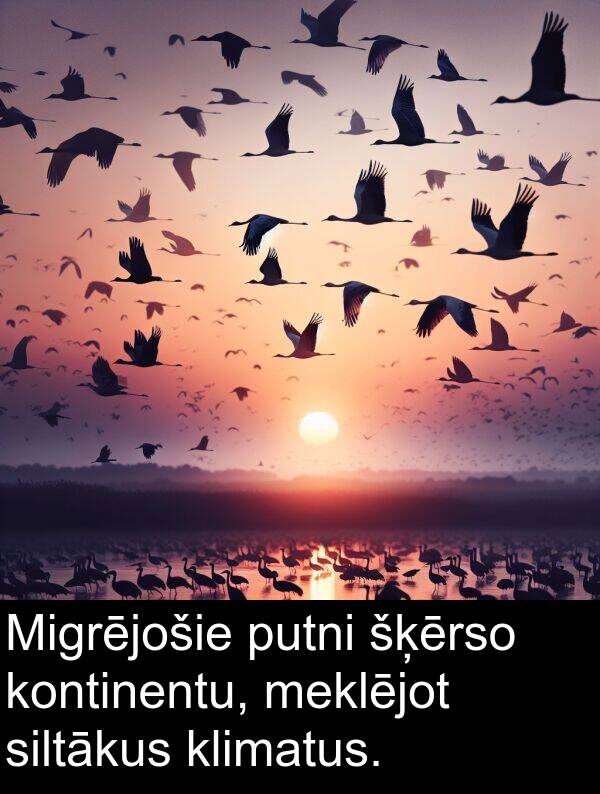 kontinentu: Migrējošie putni šķērso kontinentu, meklējot siltākus klimatus.
