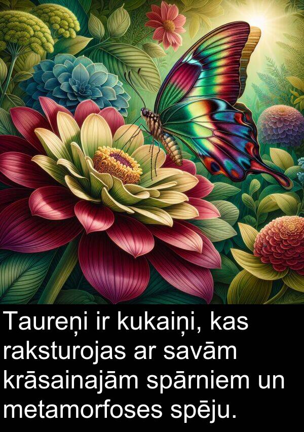 kukaiņi: Taureņi ir kukaiņi, kas raksturojas ar savām krāsainajām spārniem un metamorfoses spēju.
