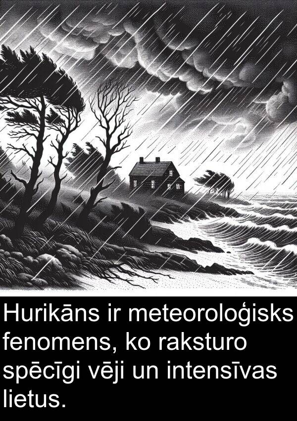 raksturo: Hurikāns ir meteoroloģisks fenomens, ko raksturo spēcīgi vēji un intensīvas lietus.
