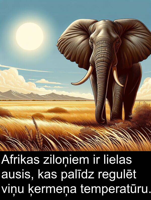 ķermeņa: Afrikas ziloņiem ir lielas ausis, kas palīdz regulēt viņu ķermeņa temperatūru.