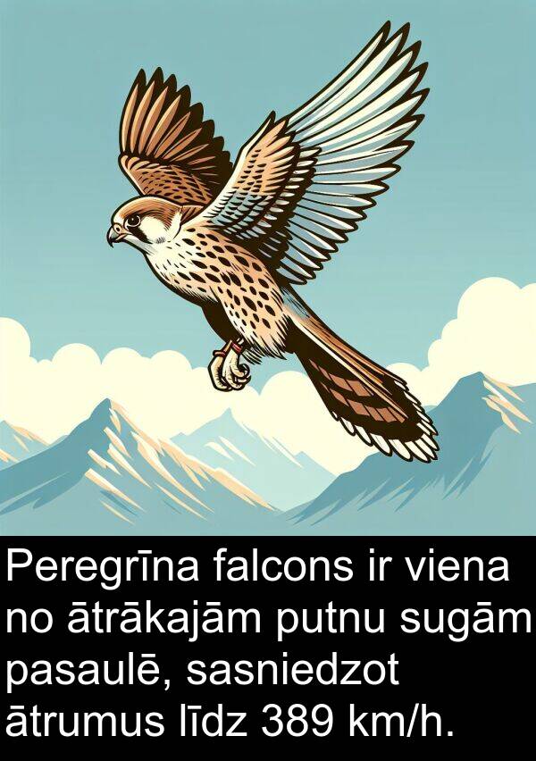 falcons: Peregrīna falcons ir viena no ātrākajām putnu sugām pasaulē, sasniedzot ātrumus līdz 389 km/h.