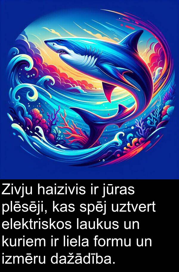 kuriem: Zivju haizivis ir jūras plēsēji, kas spēj uztvert elektriskos laukus un kuriem ir liela formu un izmēru dažādība.