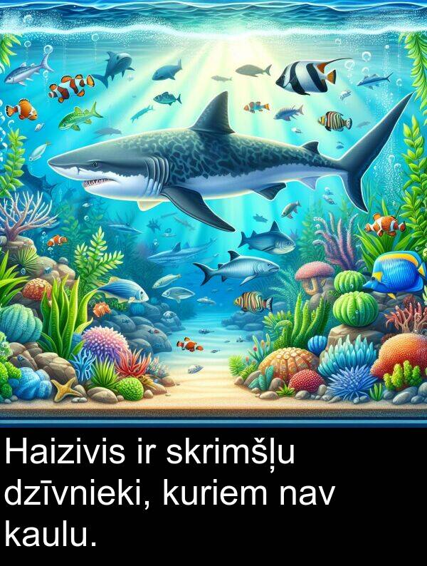 kuriem: Haizivis ir skrimšļu dzīvnieki, kuriem nav kaulu.
