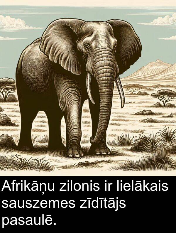 zilonis: Afrikāņu zilonis ir lielākais sauszemes zīdītājs pasaulē.