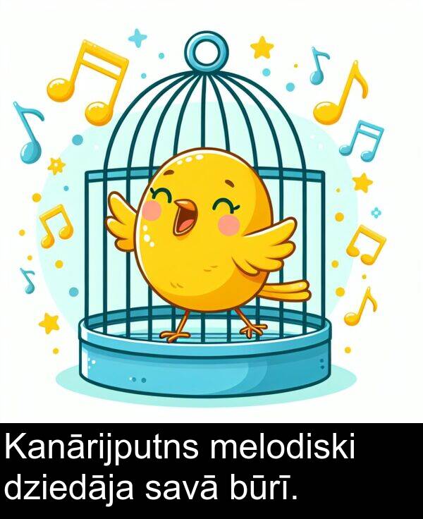 dziedāja: Kanārijputns melodiski dziedāja savā būrī.