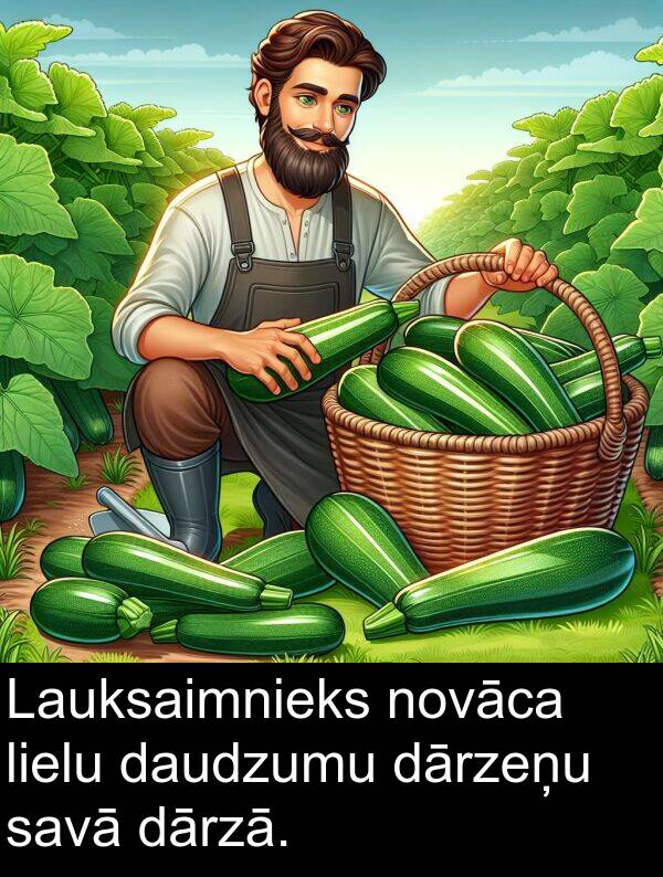 lielu: Lauksaimnieks novāca lielu daudzumu dārzeņu savā dārzā.