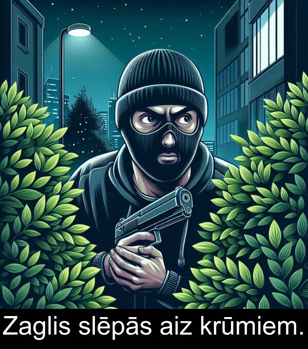 krūmiem: Zaglis slēpās aiz krūmiem.