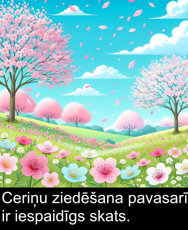 pavasarī: Ceriņu ziedēšana pavasarī ir iespaidīgs skats.