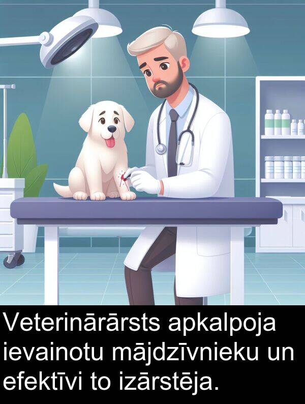 mājdzīvnieku: Veterinārārsts apkalpoja ievainotu mājdzīvnieku un efektīvi to izārstēja.
