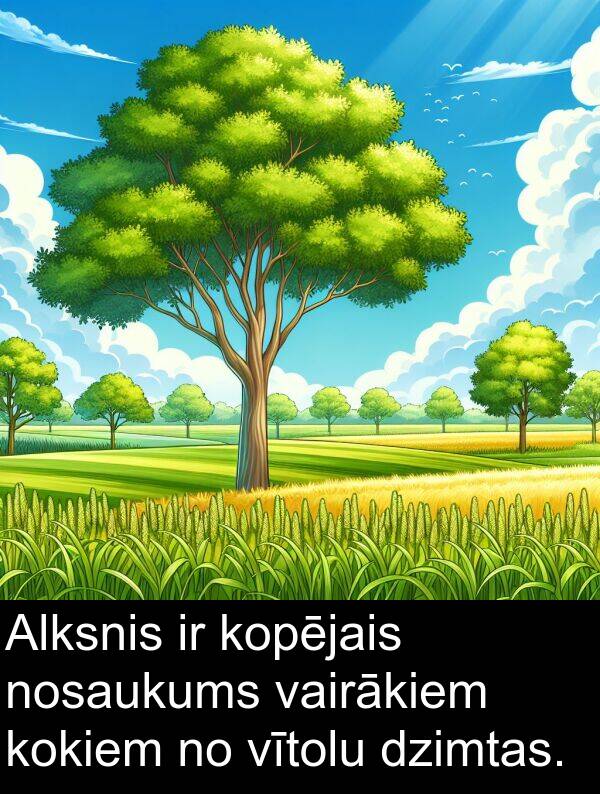 kopējais: Alksnis ir kopējais nosaukums vairākiem kokiem no vītolu dzimtas.