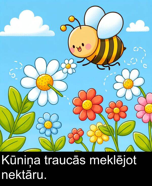 nektāru: Kūniņa traucās meklējot nektāru.
