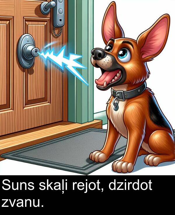 rejot: Suns skaļi rejot, dzirdot zvanu.