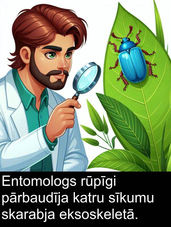 eksoskeletā: Entomologs rūpīgi pārbaudīja katru sīkumu skarabja eksoskeletā.