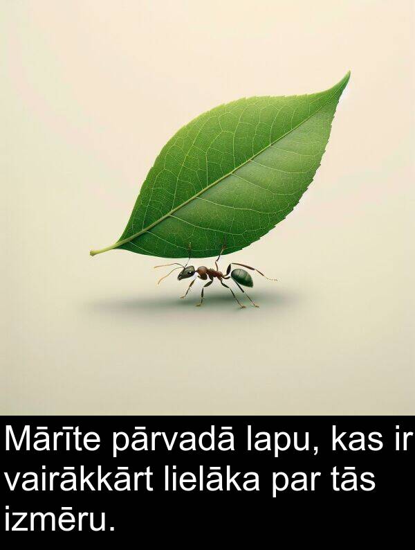 vairākkārt: Mārīte pārvadā lapu, kas ir vairākkārt lielāka par tās izmēru.