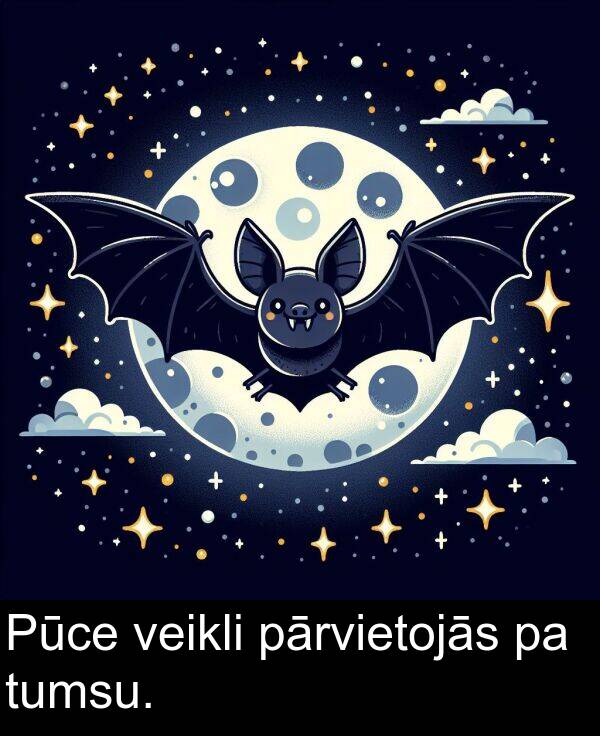 veikli: Pūce veikli pārvietojās pa tumsu.
