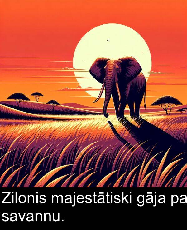 majestātiski: Zilonis majestātiski gāja pa savannu.