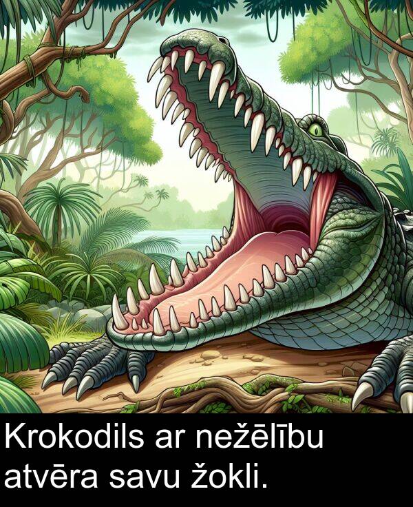žokli: Krokodils ar nežēlību atvēra savu žokli.