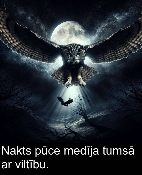 pūce: Nakts pūce medīja tumsā ar viltību.