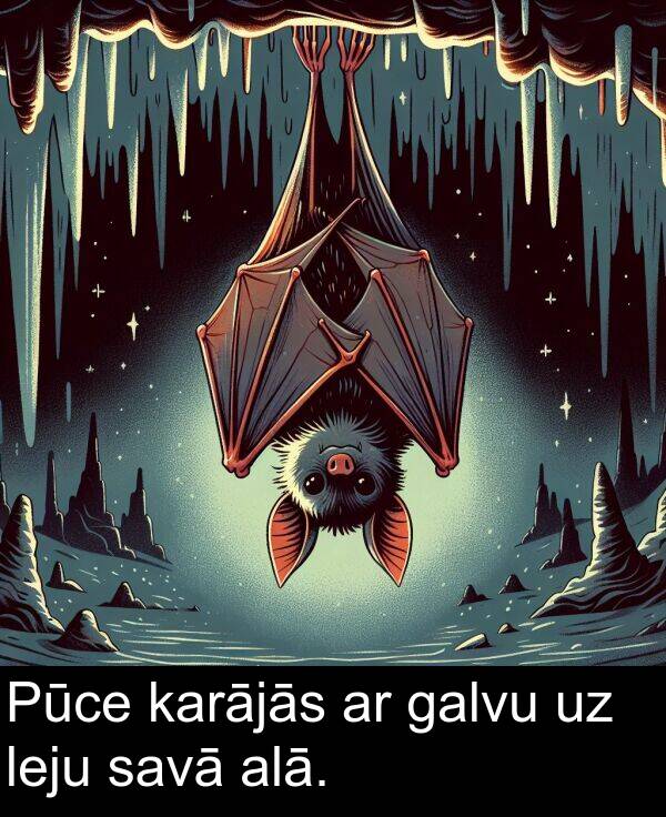 galvu: Pūce karājās ar galvu uz leju savā alā.