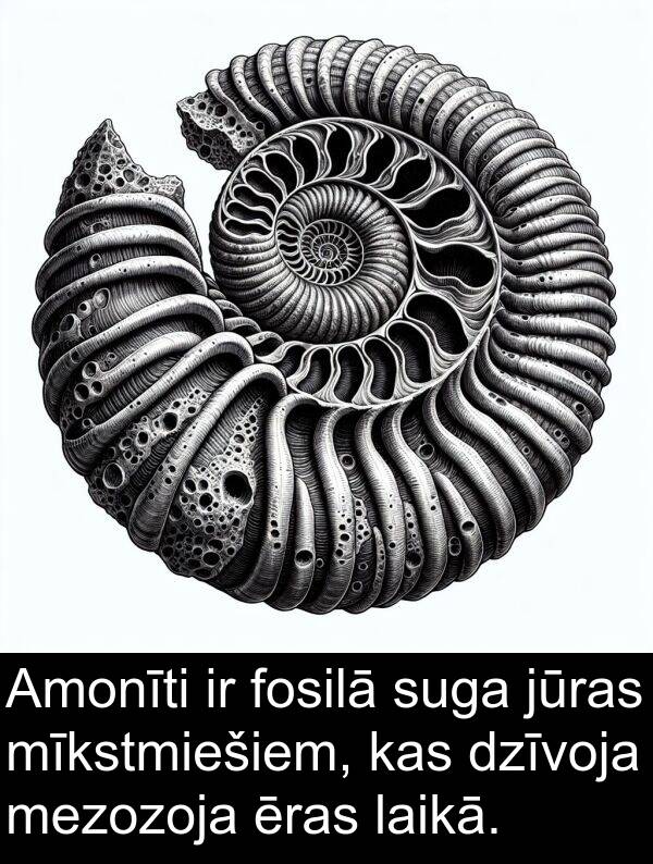 ēras: Amonīti ir fosilā suga jūras mīkstmiešiem, kas dzīvoja mezozoja ēras laikā.