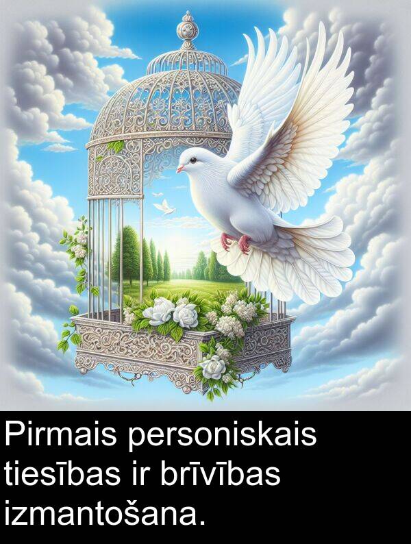 personiskais: Pirmais personiskais tiesības ir brīvības izmantošana.
