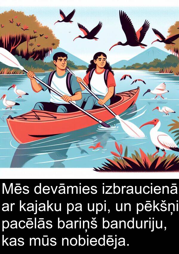 kajaku: Mēs devāmies izbraucienā ar kajaku pa upi, un pēkšņi pacēlās bariņš banduriju, kas mūs nobiedēja.