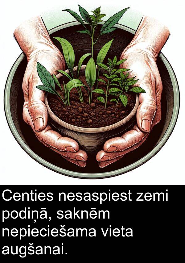 zemi: Centies nesaspiest zemi podiņā, saknēm nepieciešama vieta augšanai.