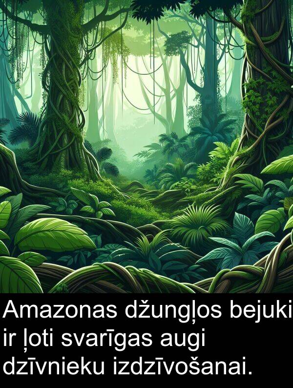 svarīgas: Amazonas džungļos bejuki ir ļoti svarīgas augi dzīvnieku izdzīvošanai.
