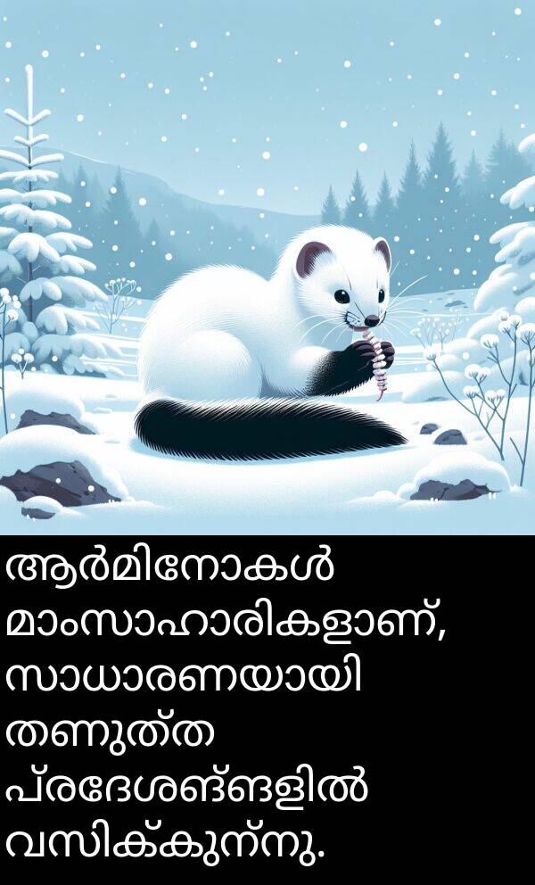 തണുത്ത: ആർമിനോകൾ മാംസാഹാരികളാണ്, സാധാരണയായി തണുത്ത പ്രദേശങ്ങളിൽ വസിക്കുന്നു.