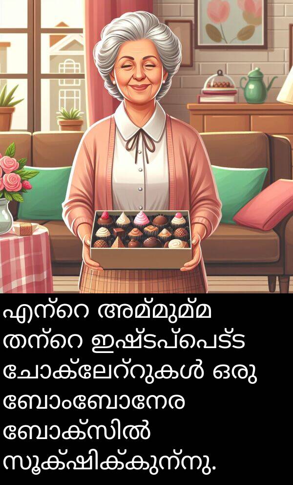 അമ്മുമ്മ: എന്റെ അമ്മുമ്മ തന്റെ ഇഷ്ടപ്പെട്ട ചോക്ലേറ്റുകൾ ഒരു ബോംബോനേര ബോക്സിൽ സൂക്ഷിക്കുന്നു.