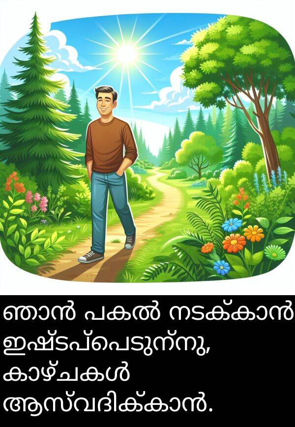 ഇഷ്ടപ്പെടുന്നു: ഞാൻ പകൽ നടക്കാൻ ഇഷ്ടപ്പെടുന്നു, കാഴ്ചകൾ ആസ്വദിക്കാൻ.