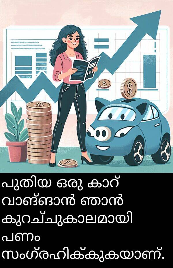പണം: പുതിയ ഒരു കാറ് വാങ്ങാൻ ഞാൻ കുറച്ചുകാലമായി പണം സംഗ്രഹിക്കുകയാണ്.