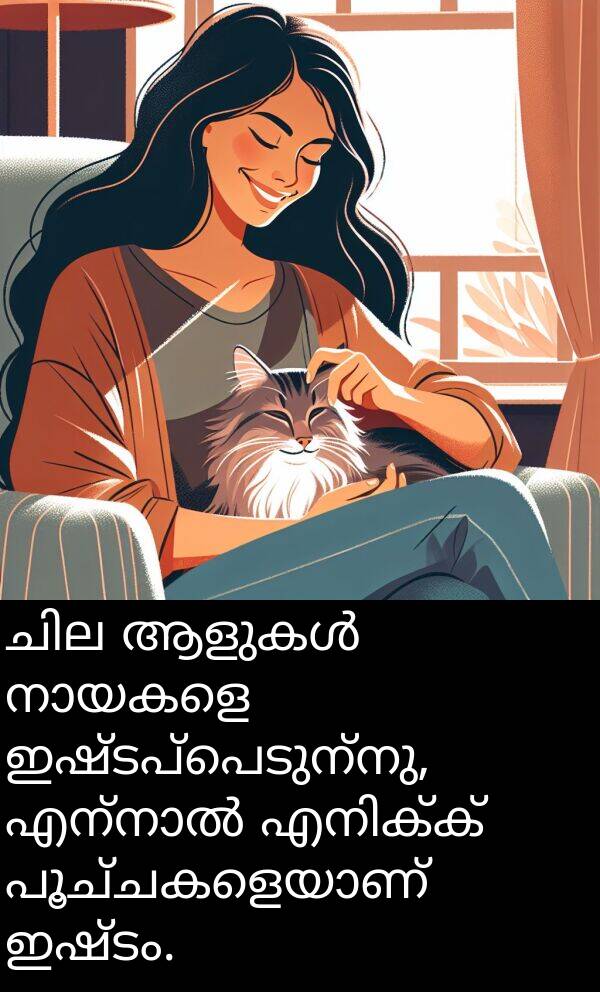 ഇഷ്ടം: ചില ആളുകൾ നായകളെ ഇഷ്ടപ്പെടുന്നു, എന്നാൽ എനിക്ക് പൂച്ചകളെയാണ് ഇഷ്ടം.