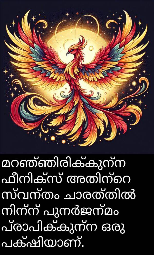 സ്വന്തം: മറഞ്ഞിരിക്കുന്ന ഫീനിക്സ് അതിന്റെ സ്വന്തം ചാരത്തിൽ നിന്ന് പുനർജന്മം പ്രാപിക്കുന്ന ഒരു പക്ഷിയാണ്.