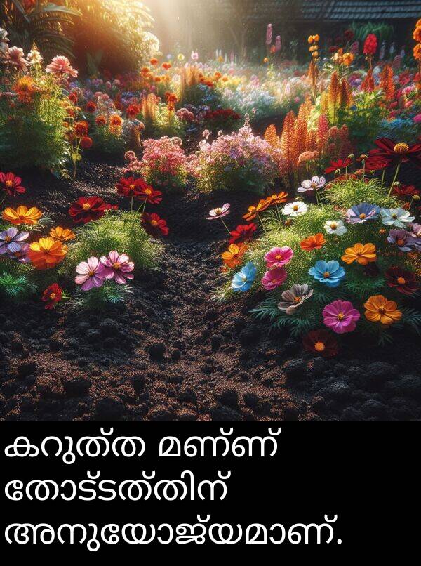 മണ്ണ്: കറുത്ത മണ്ണ് തോട്ടത്തിന് അനുയോജ്യമാണ്.