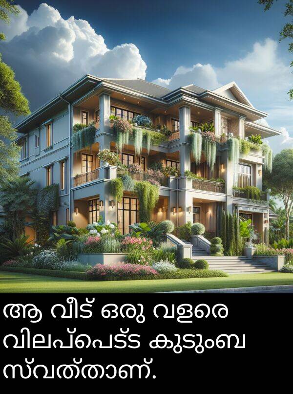 വീട്: ആ വീട് ഒരു വളരെ വിലപ്പെട്ട കുടുംബ സ്വത്താണ്.