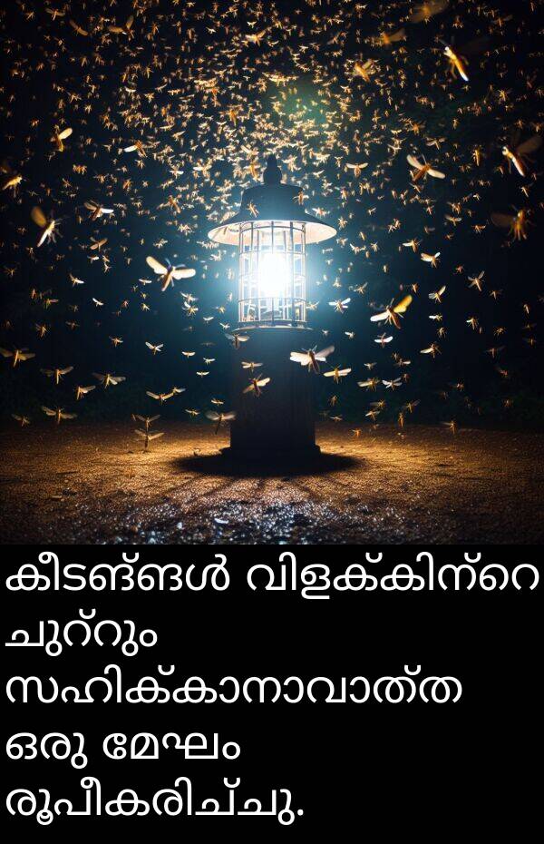 മേഘം: കീടങ്ങൾ വിളക്കിന്റെ ചുറ്റും സഹിക്കാനാവാത്ത ഒരു മേഘം രൂപീകരിച്ചു.