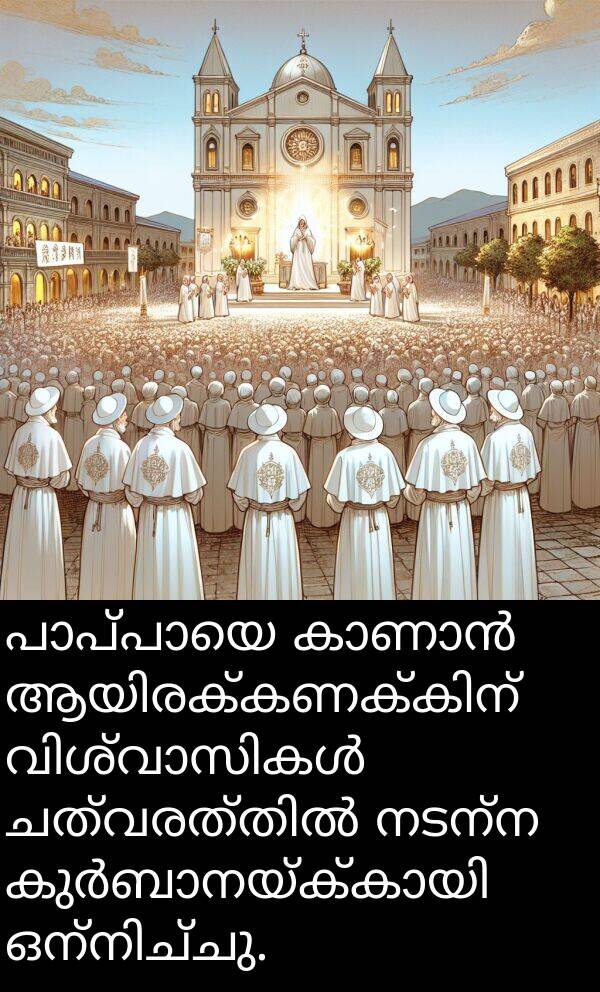 നടന്ന: പാപ്പായെ കാണാൻ ആയിരക്കണക്കിന് വിശ്വാസികൾ ചത്വരത്തിൽ നടന്ന കുർബാനയ്ക്കായി ഒന്നിച്ചു.