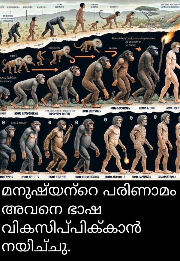 അവനെ: മനുഷ്യന്റെ പരിണാമം അവനെ ഭാഷ വികസിപ്പിക്കാൻ നയിച്ചു.