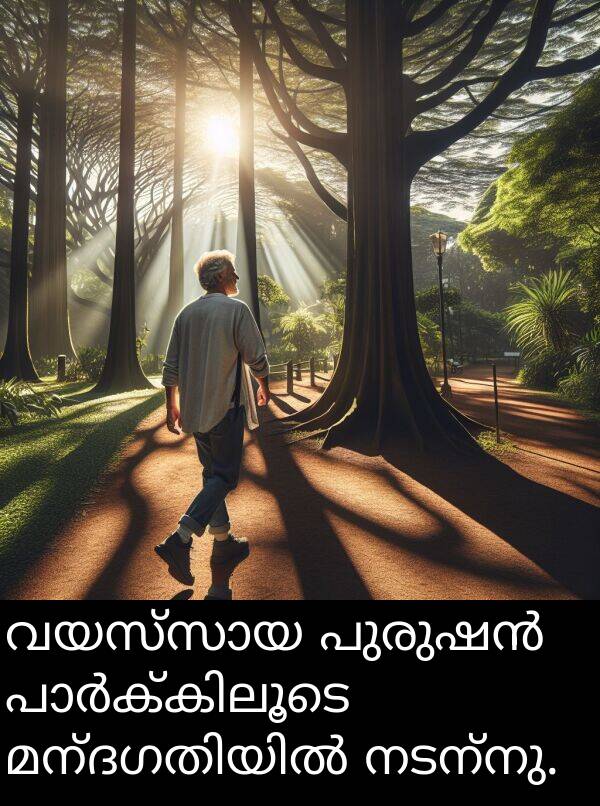 നടന്നു: വയസ്സായ പുരുഷൻ പാർക്കിലൂടെ മന്ദഗതിയിൽ നടന്നു.