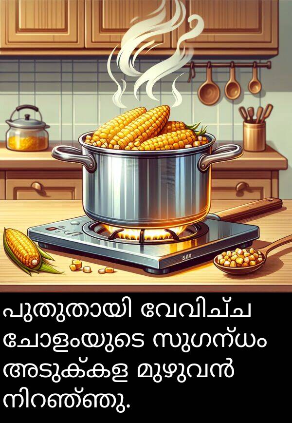 ചോളംയുടെ: പുതുതായി വേവിച്ച ചോളംയുടെ സുഗന്ധം അടുക്കള മുഴുവൻ നിറഞ്ഞു.