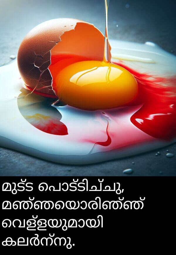 മുട്ട: മുട്ട പൊട്ടിച്ചു, മഞ്ഞയൊരിഞ്ഞ് വെള്ളയുമായി കലർന്നു.