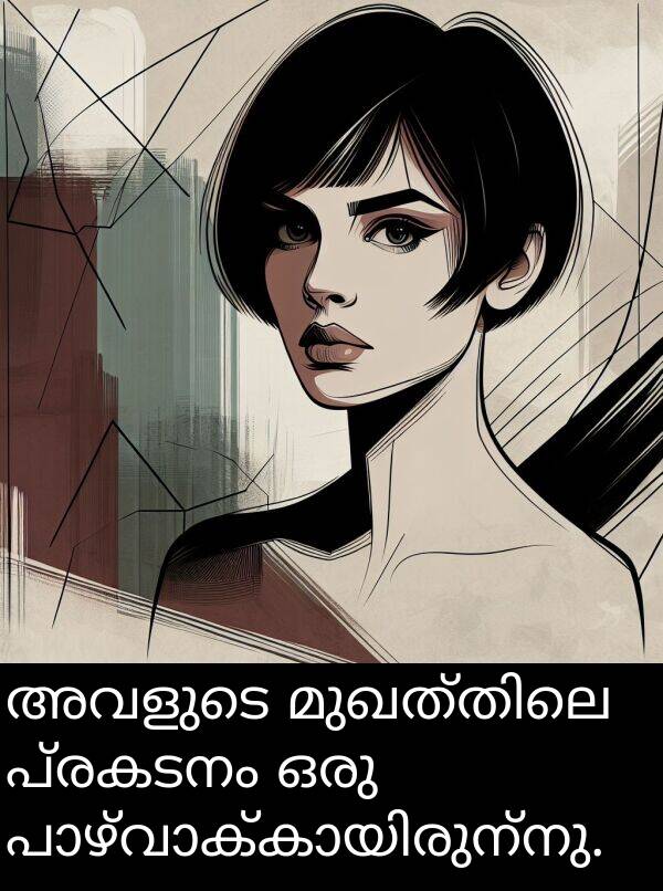 പ്രകടനം: അവളുടെ മുഖത്തിലെ പ്രകടനം ഒരു പാഴ്‌വാക്കായിരുന്നു.