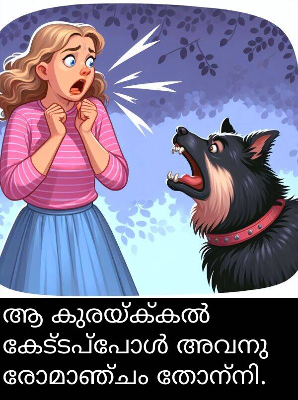 അവനു: ആ കുരയ്ക്കൽ കേട്ടപ്പോൾ അവനു രോമാഞ്ചം തോന്നി.