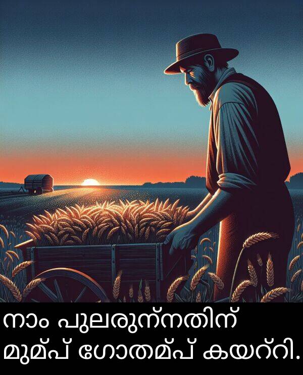 ഗോതമ്പ്: നാം പുലരുന്നതിന് മുമ്പ് ഗോതമ്പ് കയറ്റി.